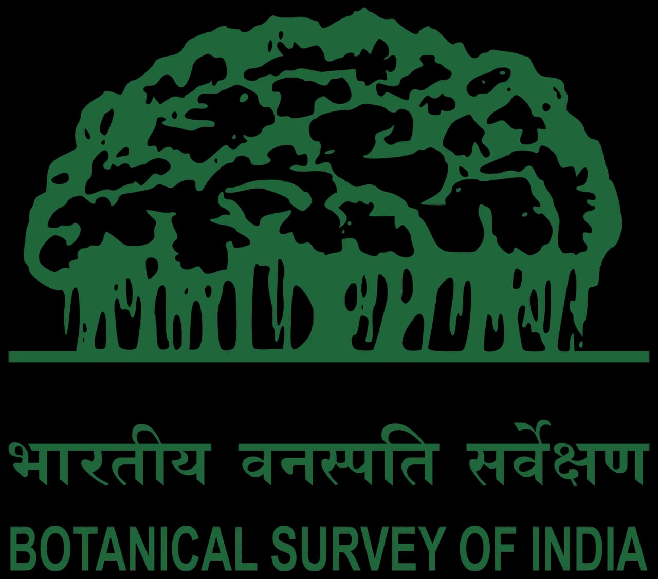 Botanical Survey of India (BSI)