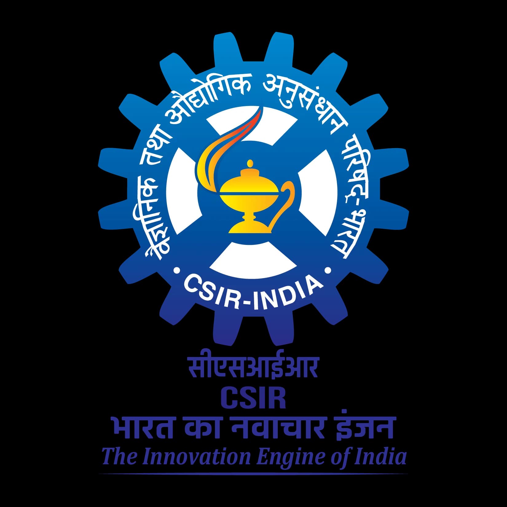 Central Electrochemical Research Institute