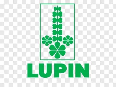 Lupin
