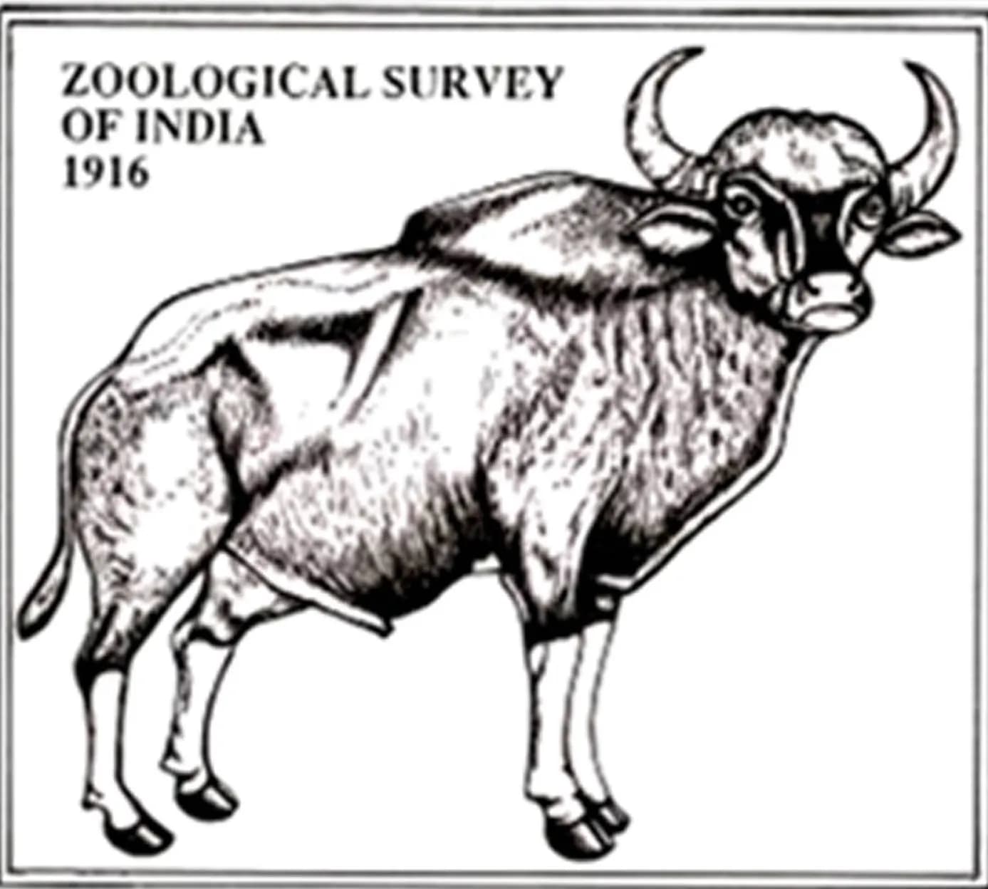 Zoological Survey of India (ZSI)